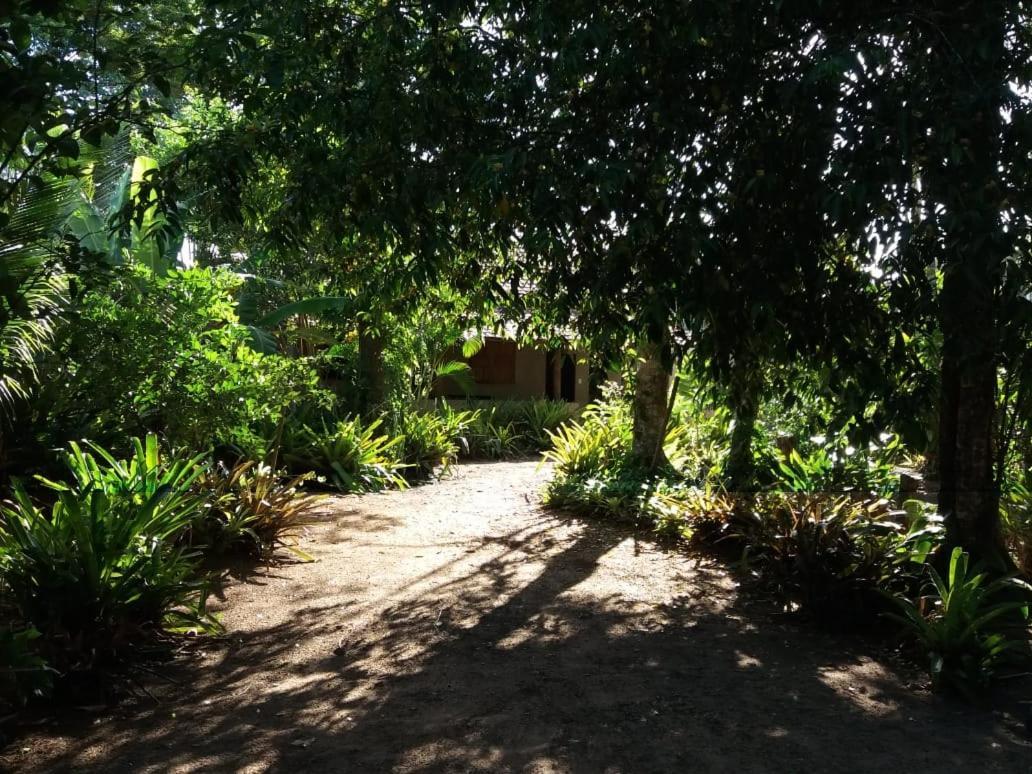 Vila Prosperidade Trancoso Exterior photo